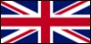 International version